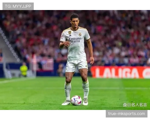 德甲转会市场持续升温,新星崛起与老将价值引热议 德甲转会市场持续升温,新星崛起与老将价值引热议