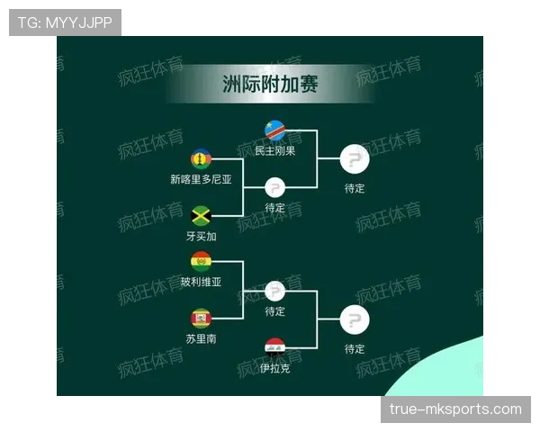 2026世界杯完整版资格流程详解 2026世界杯完整版资格流程详解